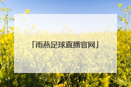 「雨燕足球直播官网」雨燕足球直播免费视频直播粤语