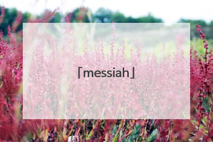 「messiah」messiah project